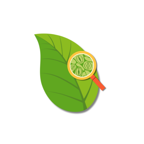 Free Pdf notes for ICSE and CBSE Biology subject